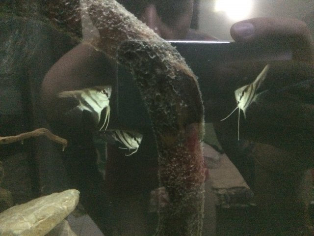 07C7D66D-193E-4A8F-9424-4C264BCB3600.jpeg 07C7D66D-193E-4A8F-9424-4C264BCB3600.jpeg