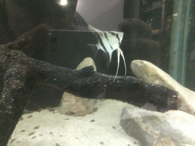 DBFD9DF8-ADED-4D10-8482-1BDD4342FF4A.jpeg DBFD9DF8-ADED-4D10-8482-1BDD4342FF4A.jpeg