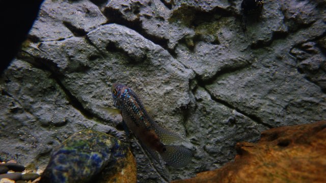 DSC08836.JPG DSC08836.JPG