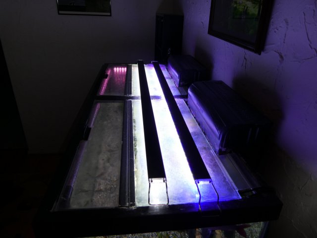 led.JPG