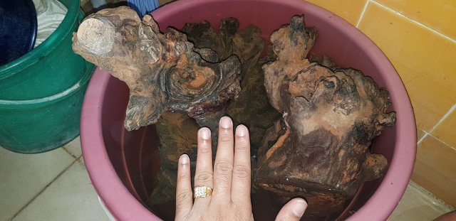 20180520_215007.jpg