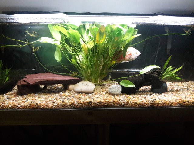 20180520_175222.jpg