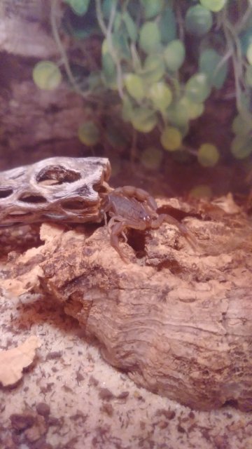 20180520_211334.jpg 20180520_211334.jpg