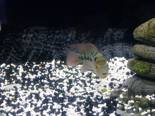 20180522_094612_HDR.jpg