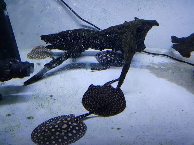 20180523_010107.jpg