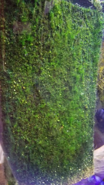 20180522_172047.jpg