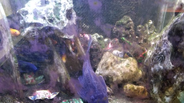 20180516_161906.jpg