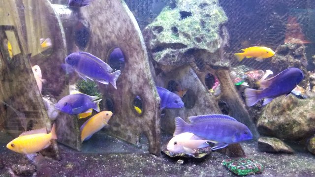20180519_165034.jpg