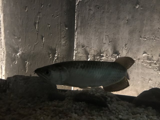 IMG_0430.JPG IMG_0430.JPG