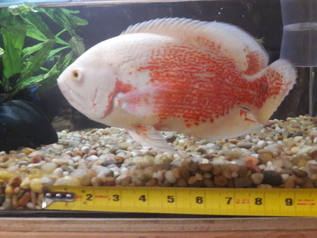 20180524_114916.jpg
