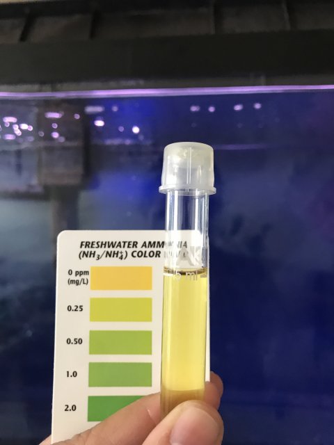 0A428628-542C-4069-BE2A-C9D427AFECDC.jpeg 0A428628-542C-4069-BE2A-C9D427AFECDC.jpeg