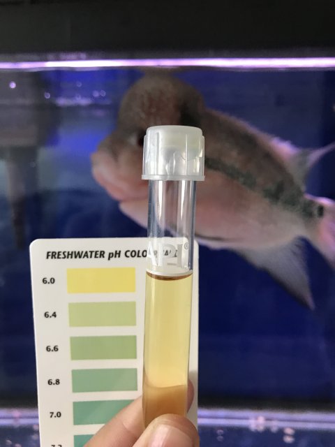 AB74C295-F8C1-4E33-A9E3-33E27E5C86B8.jpeg AB74C295-F8C1-4E33-A9E3-33E27E5C86B8.jpeg