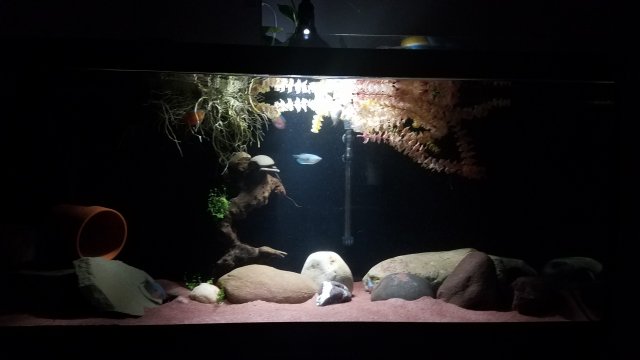 20180525_214745.jpg