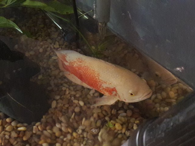 20180527_123526.jpg