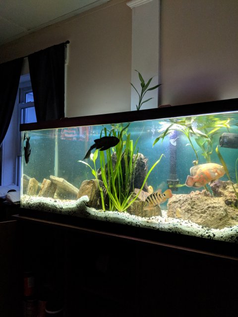 MVIMG_20180508_200719.jpg