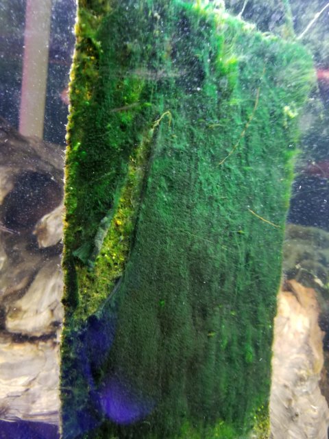 20180528_160941.jpg 20180528_160941.jpg
