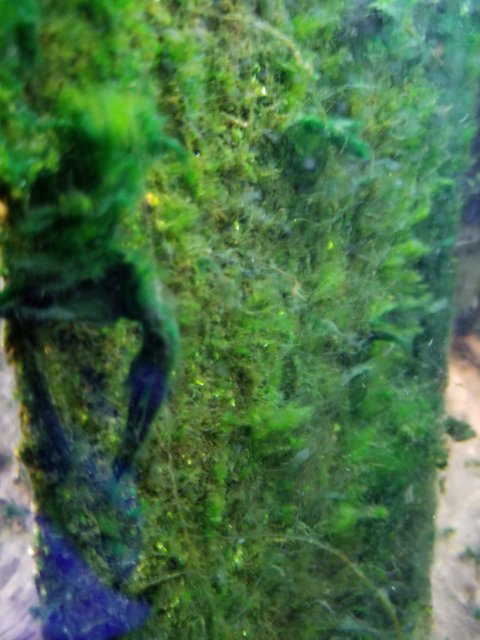 20180528_161234.jpg 20180528_161234.jpg
