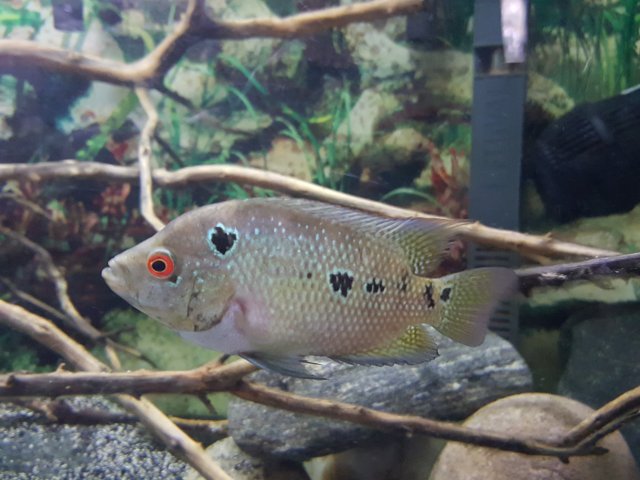 20180529_103045_005.jpg 20180529_103045_005.jpg