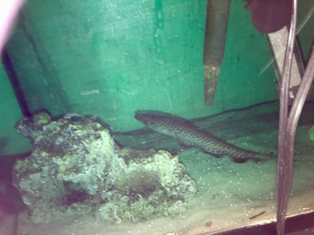 IMG_0472.JPG