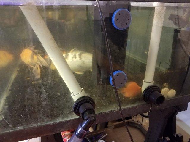 20180531_184618.jpg