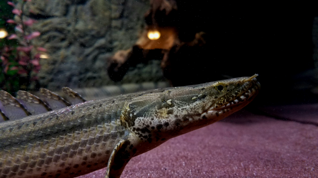 Screenshot_20171027-162348.png Screenshot_20171027-162348.png