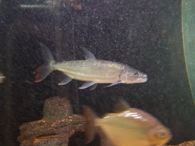 20180603_100422.jpg