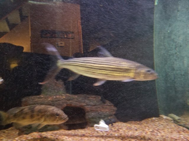 20180603_100249.jpg