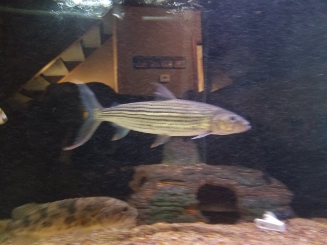 20180603_100248.jpg