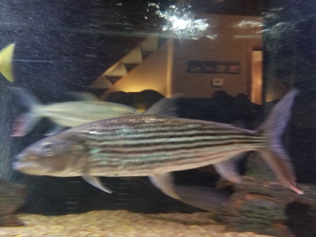20180603_100229.jpg
