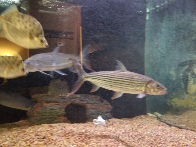 20180603_100221.jpg