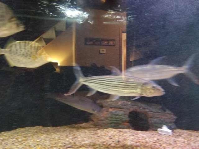 20180603_100219.jpg