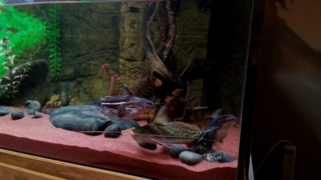 20180603_111738.jpg