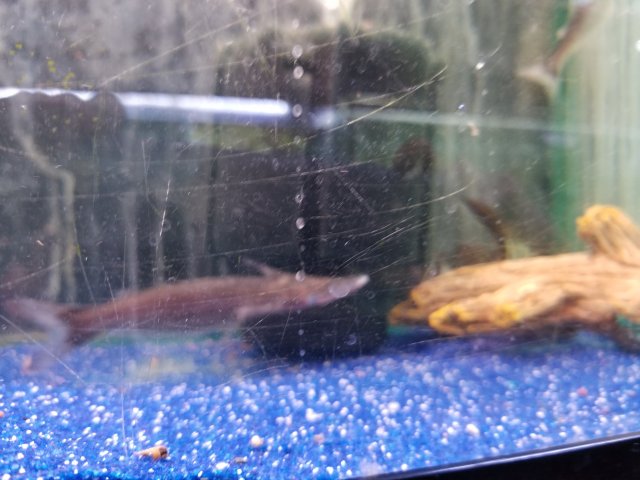 20180603_112709.jpg
