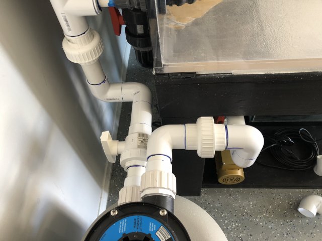 CF114360-D452-4CA3-AC92-0D169F03DADB.jpeg CF114360-D452-4CA3-AC92-0D169F03DADB.jpeg