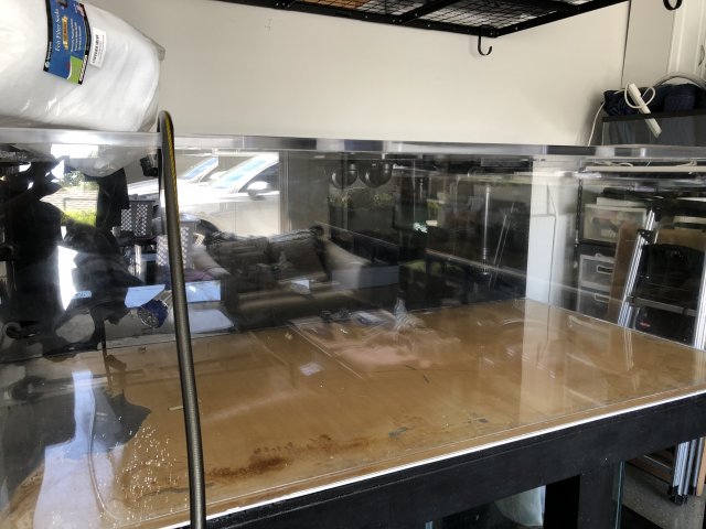 F9451C89-571F-4F59-921C-99CCBFD4A574.jpeg F9451C89-571F-4F59-921C-99CCBFD4A574.jpeg