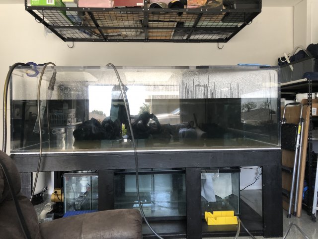 16E178DE-C4D3-4456-8712-3B5B7D2C06AB.jpeg 16E178DE-C4D3-4456-8712-3B5B7D2C06AB.jpeg