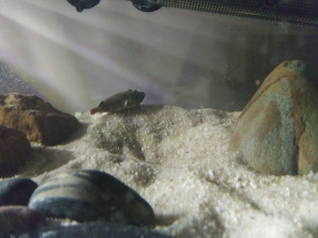 0531181506.jpg