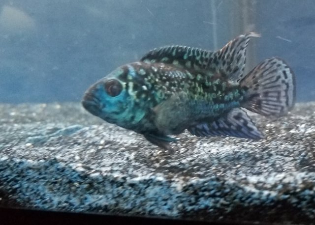 20180522_204709.jpg 20180522_204709.jpg