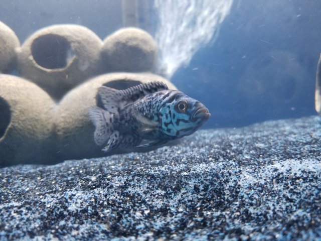 20180522_204253.jpg 20180522_204253.jpg