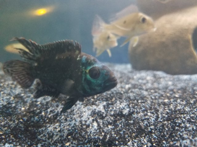 20180521_184522.jpg 20180521_184522.jpg