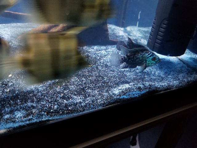 20180520_200645.jpg 20180520_200645.jpg