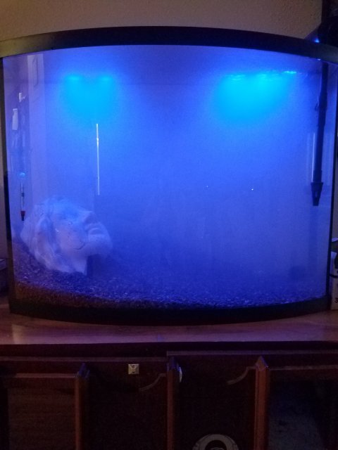20180604_212346.jpg 20180604_212346.jpg