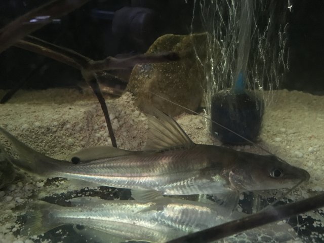 image.jpeg image.jpeg