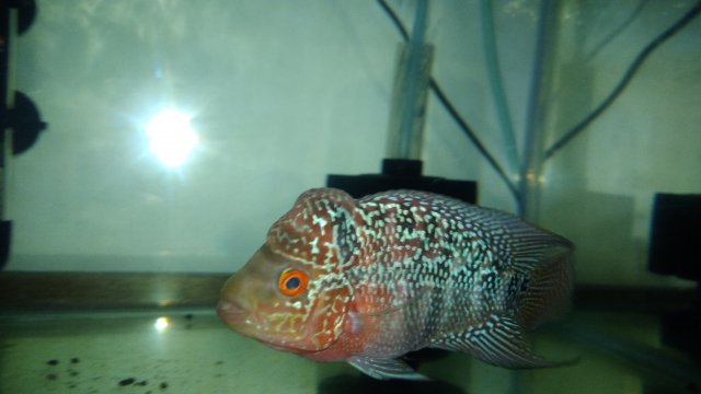 P_20180607_004843.jpg