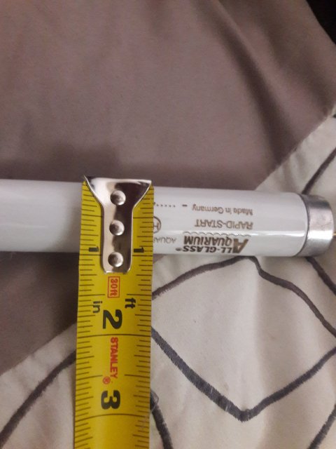 20180606_115118.jpg