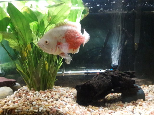 20180606_173539.jpg