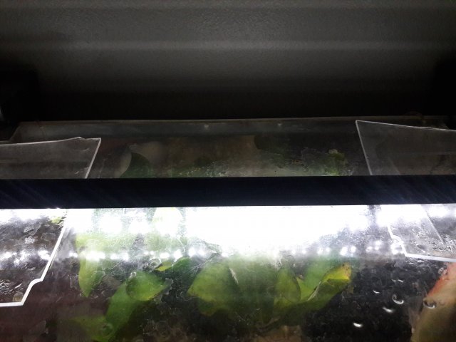 20180606_174402.jpg