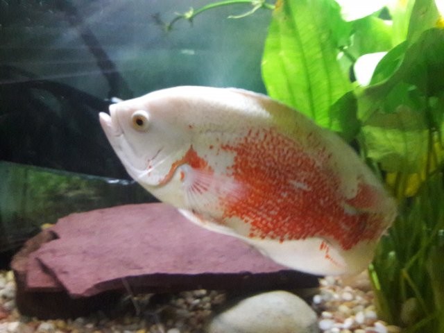20180606_174048.jpg