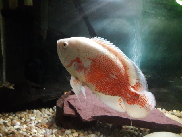 20180602_210705.jpg