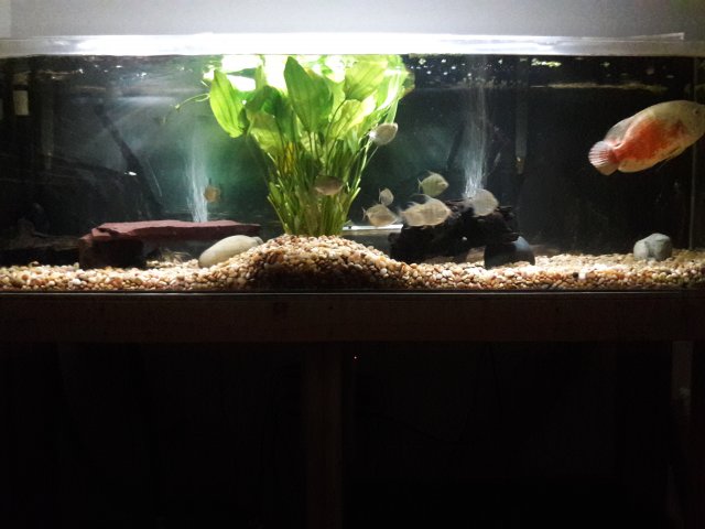 20180606_180236.jpg